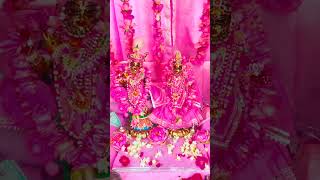 Rangi Sari gulabi chunariya re love krishna jagannath song ytshorts [upl. by Valerlan]