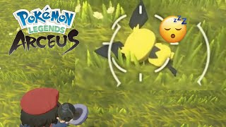 The Sleeping Pichu Pokemon Legends Arceus [upl. by Ihsar731]