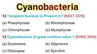 Cyanobacteria MCQ  Cyanobacteria bsc 1st Year in English [upl. by Eiralav852]