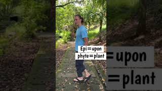 What is an Epiphyte See Examples in Nature [upl. by Arni]