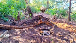 70 days of building a shelter from start to finish in the wild safe from wild animals [upl. by Katuscha]