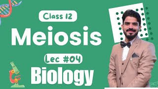 Meiosis Cell Cycle  Chapter 21  Biology Class 12 Lecture04 [upl. by Lebazej332]