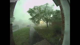 Tree snaps in half  Ottawa Derecho Storm May 21 2022 [upl. by Fredi933]