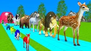 Paint Animals DuckTigerCowLionBuffaloGorillaElephantDinosaur Fountain Crossing Animal Game Wa [upl. by Japeth]