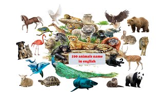 Guess Baby Animal Names  30 Animals and their Babies [upl. by Annmarie]