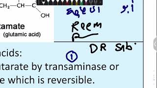 Bio 3A Acidic A A Aspartate And Glutamate 1 [upl. by Goren]