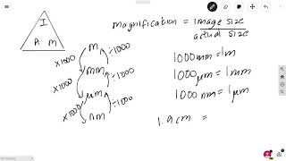 Microscopes and magnification calculations AQA A Level Biology [upl. by Nepsa910]