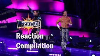 WRESTLEMANIA 33 THE HARDY BOYZ RETURN REACTION COMPILATION [upl. by Lemkul]