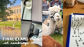 cambridge med exams vlog 📝  studying in libraries alpacas in college [upl. by Endor]