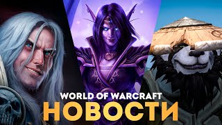 БОЛЬШОЙ АНОНС ОТ BLIZZARD Теперь Wow сильно изменится [upl. by Nahk]