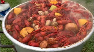 Louisiana Boiled Crawfish with fixings in 35 minutes [upl. by Donaugh619]