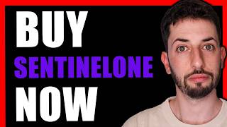 SentinelOne Stock Earnings Is This Bad News For Crowdstrike Stock [upl. by Fulvi]