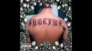 Sublime  Santeria Lyrics [upl. by Flatto308]