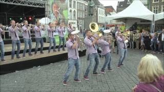 The Radios  Im Into Folk Covered by De FliereFluiters  Den Bosch 2016 [upl. by Airdnoed]