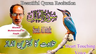 Surah AlMulk Full  Beautiful Recitation By Muhammad Al Faqih todaytalent surahalmulkfull [upl. by Larisa]