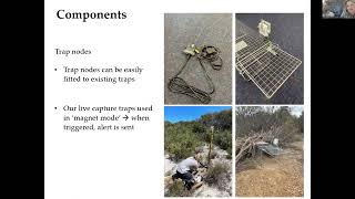 Protecting the Kangaroo Island dunnarts future using trap alert technology [upl. by Arutnev686]