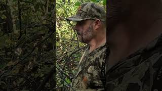 Saddle Vs tree stand bowhunting archery deerhunting whitetail [upl. by Lindy]