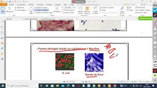 miCROBIOLGIE SVI BCG S3 partie 2 [upl. by Ajna]