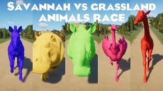 Colored Savannah vs Grassland Animals Races in Planet Zoo included Ostrich Llama Zebra amp etc [upl. by Wallas]