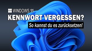 Windows Kennwort zurücksetzen unter Windows 11 24H2  EINFACH ERKLÄRT [upl. by Conners]