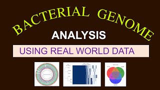 Whole Genome Sequence Analysis  Bacterial Genome Analysis  Bioinformatics 101 for Beginners [upl. by Sirrah]