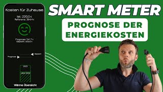 ioBrokerTool zeigt Zukunft der Energiekosten deines Zuhauses Krasse Prognose [upl. by Ecnatsnoc]