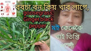 ববচাবনকিয়খাবলাগে2024 goosegrass [upl. by Washington614]