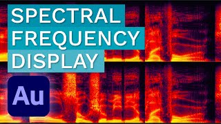 When and How to Use Spectral Frequency Display  Adobe Audition Tutorial [upl. by Good252]