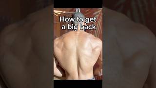 Back muscles blew up after I changed gym fitness [upl. by Webb]