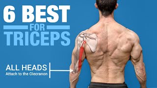 6 BEST Triceps Exercises ANATOMY BASED [upl. by Ellerihs]