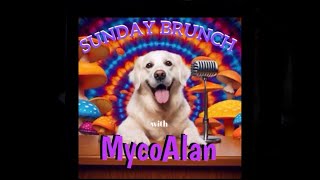 Sunday Brunch with MycoAlan [upl. by Petrina]