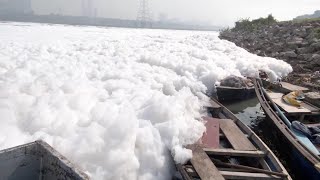 Toxic Foam Covers Sacred River [upl. by Nalat]