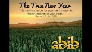 ABIB Biblical Events for the First Month [upl. by Brackely]