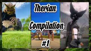 Therian Compilation 1 🐾  No Cussing  No Tutorials [upl. by Ingaborg68]