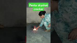 Penta skyshot 100rs box 2024shorts diwali shortsvideo crackers [upl. by Zerdna194]