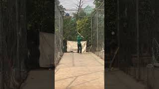 Batting net practice 🥰🥰 cricket viralvideo trending fyp podcast reels views video op [upl. by Luis945]