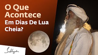 O Que Acontece Com Você Em Um Dia De Lua Cheia  Sadhguru Português [upl. by Sirc]