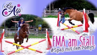 Lia amp Alfi  FMA am Stall  HalsringReiten [upl. by Alisun234]