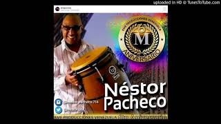 SE ACABO Nestor Pacheco [upl. by Alyakcm121]