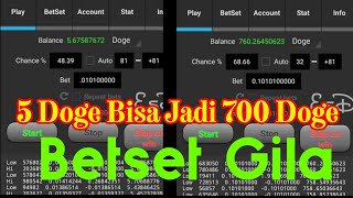 Modal 5 Doge bisa jadi 700 doge bagaimana caranya betset gila [upl. by Edieh650]