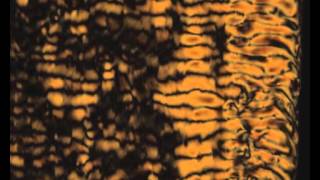 Active bacteria create patterns in liquid crystals [upl. by Alrrats]