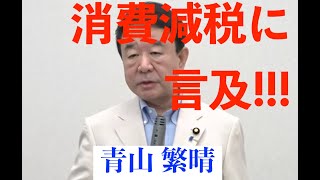 【2024年自民党総裁選】青山繁晴、消費税に関して言及！ 消費税減税 消費税廃止 れいわ新選組 消費税法案 [upl. by Surbeck]