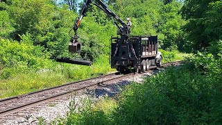 Spreading Black Bananas on the Railroad [upl. by Nannie]