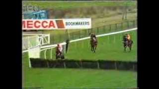 1989 Roux Restaurants Tolworth Hurdle [upl. by Aelc815]