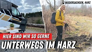 Wildschweinforschung im Harz 🐗 ❤️ Hier findet ihr Ruhe und Entspannung ➡️ Camping Kreuzeck Harz [upl. by Aziar]