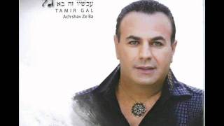 תמיר גל אמרי לי Tamir Gal [upl. by Anahsar]