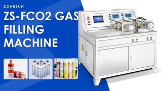 ZONESUN ZSFCO2 Carbon Dioxide Inflator CO2 Inflating Machine [upl. by Gresham]