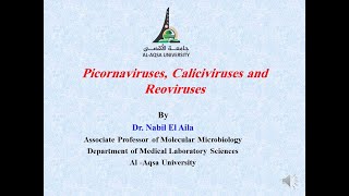 Chapter 11  Picornaviruses Caliciviruses and Reoviruses [upl. by Otokam]