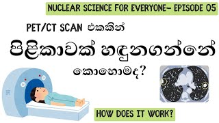 PET ස්කෑන් එකකින් පිළිකාවක් අඳුරගන්න විදිහ How a PET Scanner works Nuclear Science for everyone [upl. by Saltsman]