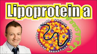 The Deadliest LDL Lipoprotein a Explained [upl. by Yearwood]